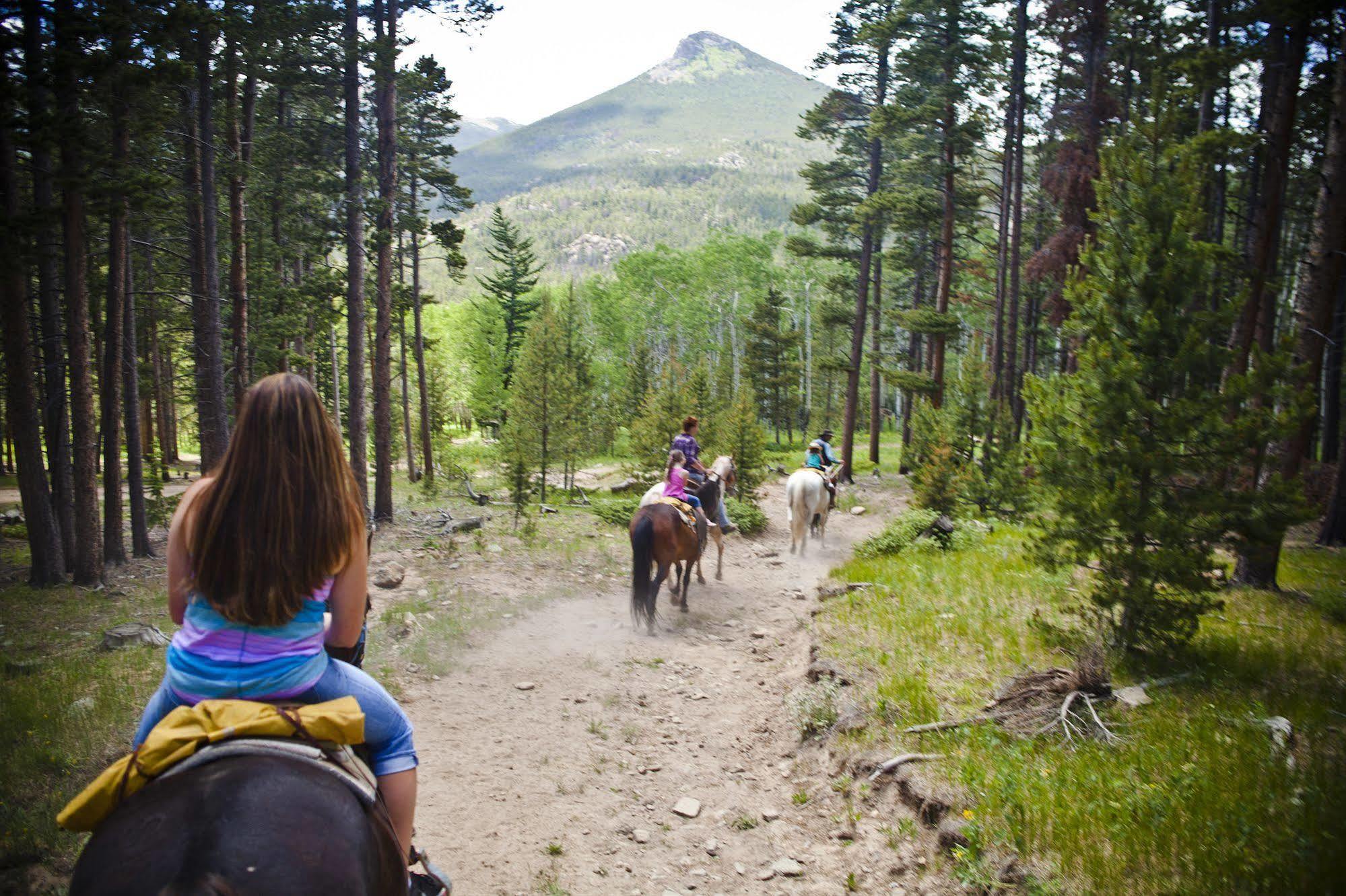 Dao House 3* Estes Park
