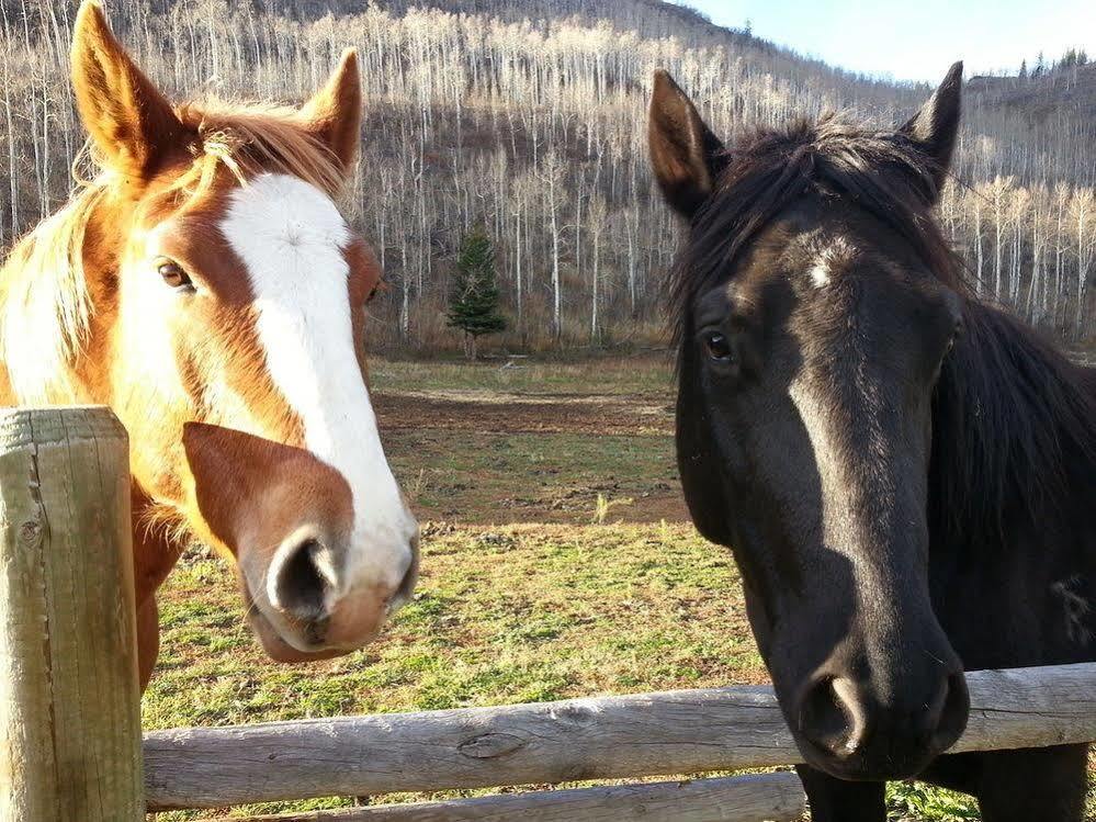 Elk River Guest Ranch Clark