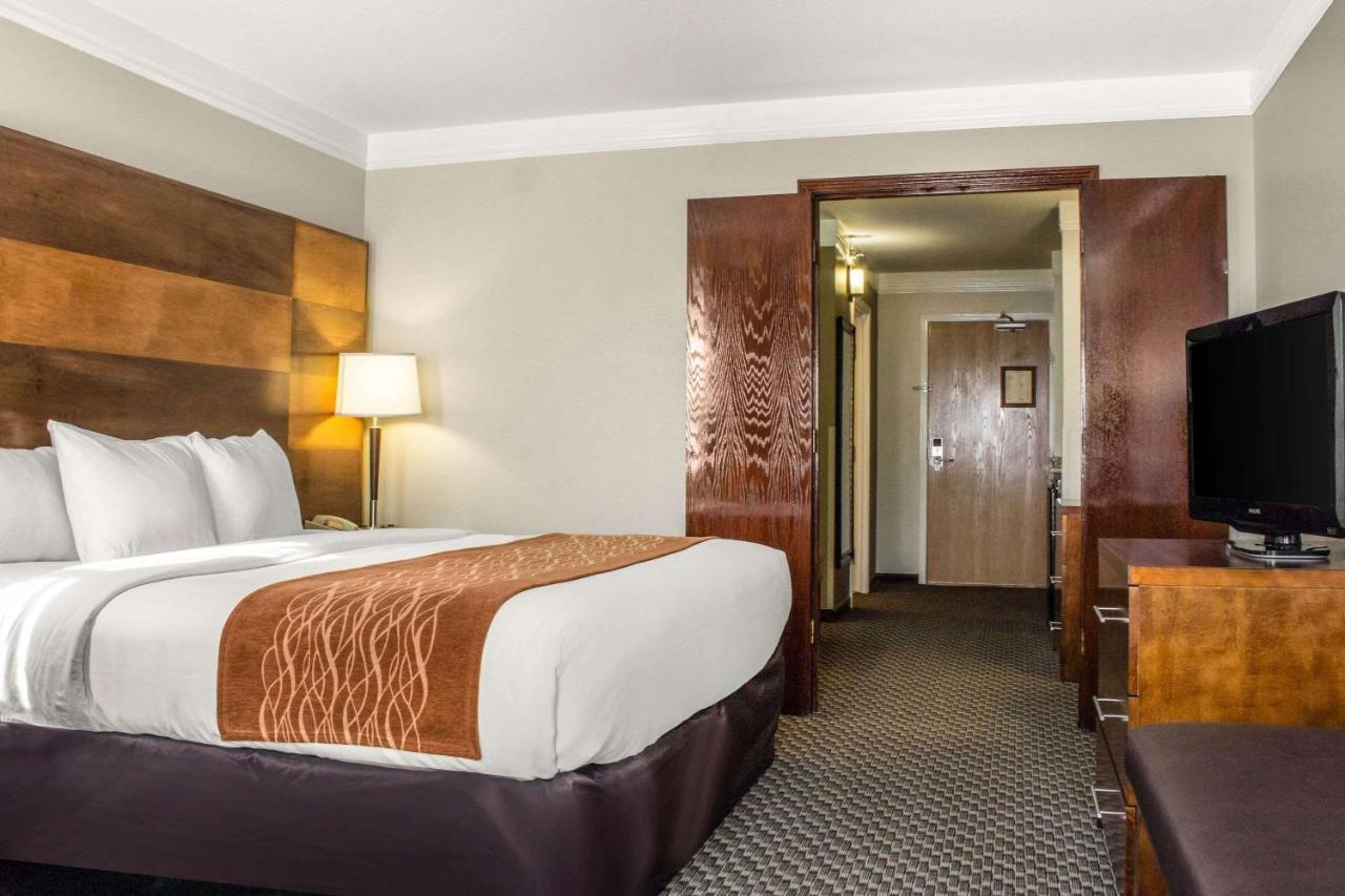 Comfort & Hotel 3*