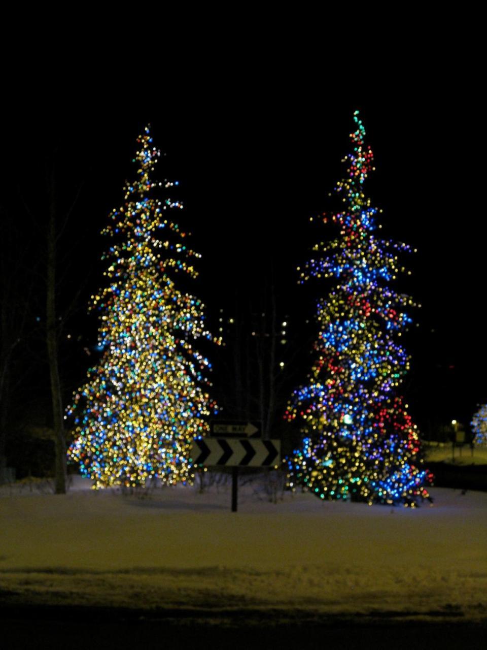 Marriott's Streamside Douglas At Vail