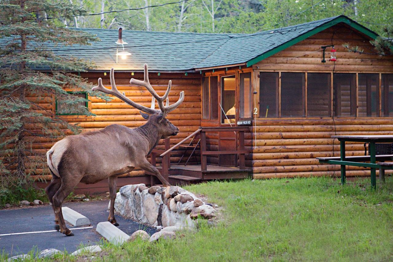 Resort Idlewilde By The River Estes Park