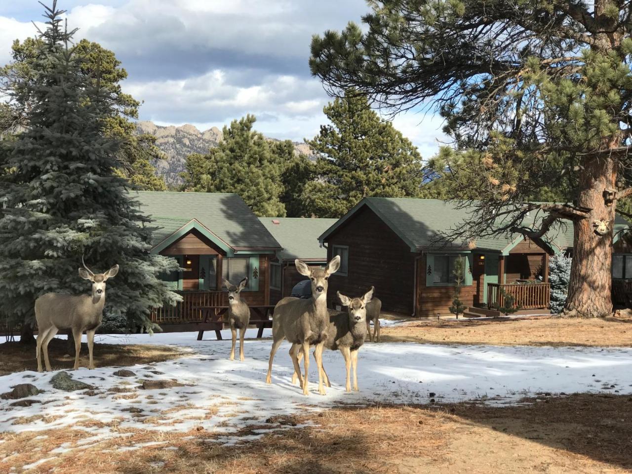Mountain Shadows Holiday park Estes Park