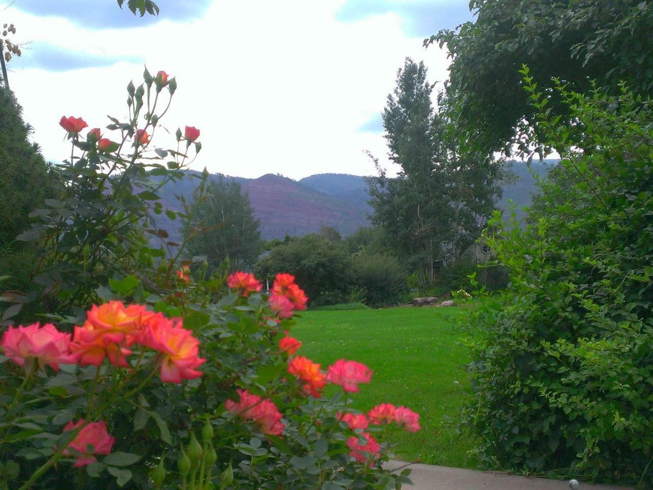 Apple Orchard Bed & Breakfast 3*