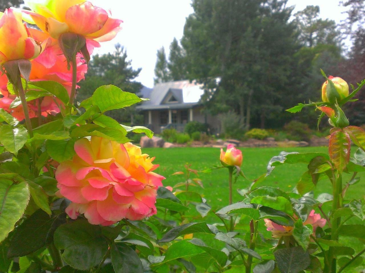 Apple Orchard Bed & Breakfast