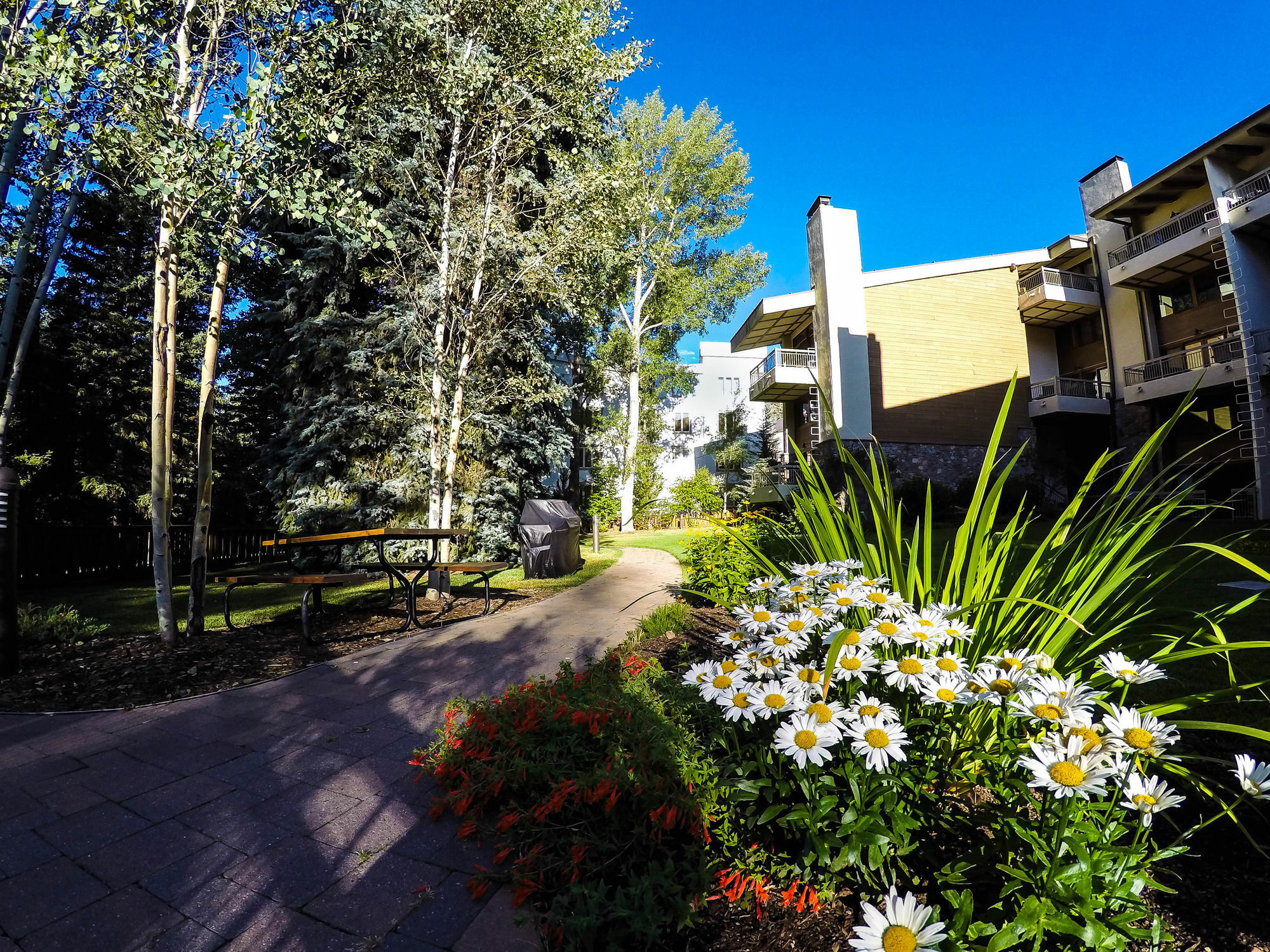 Lodge At Lionshead Vail