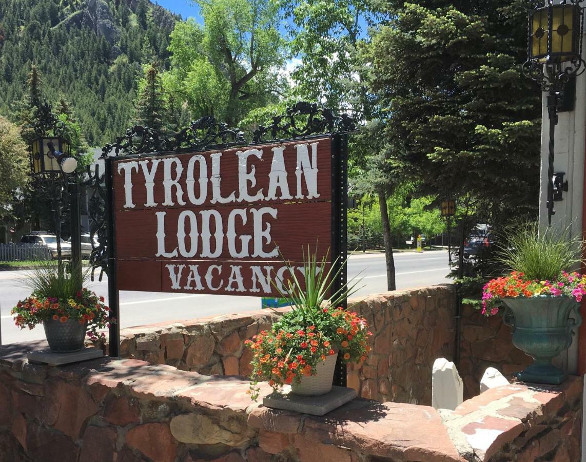 Tyrolean Aspen