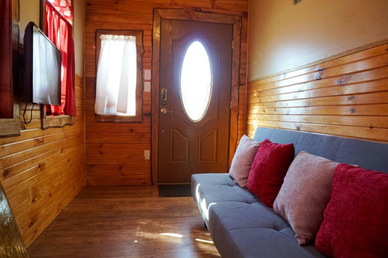 Tiny House Colorado Leadville