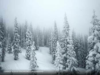 Resort Storm Meadows At Christie Base 3*