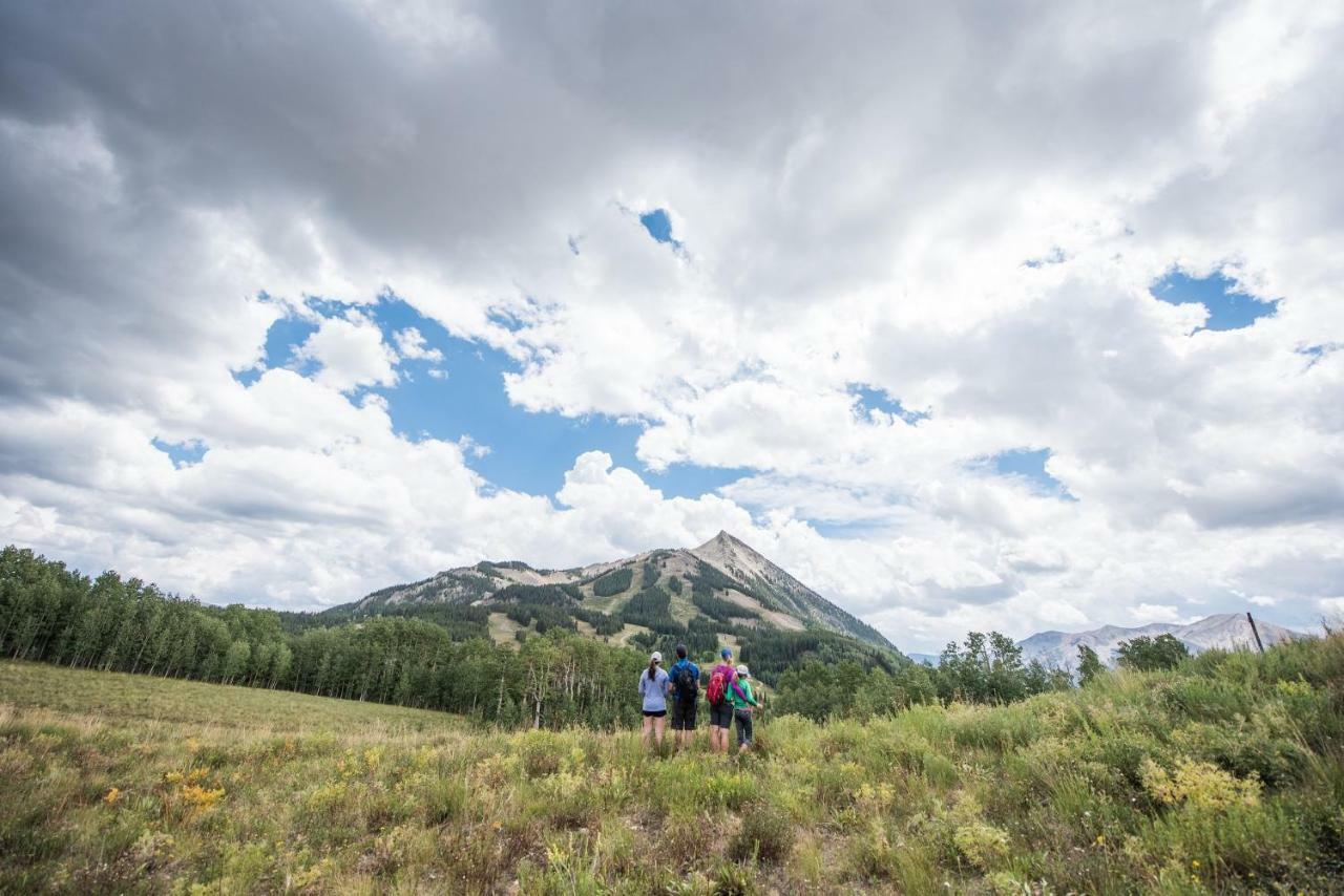 2 Bedroom With Views Of Wood Creek & Mountains Crested Butte