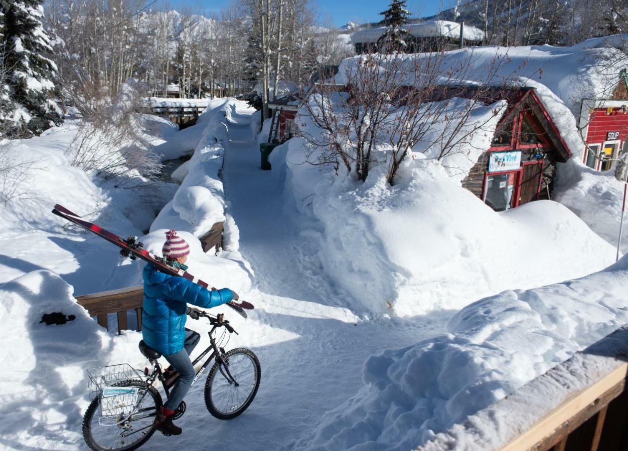 Apartment Axtel 1 Bedroom Loft Ax410 Crested Butte