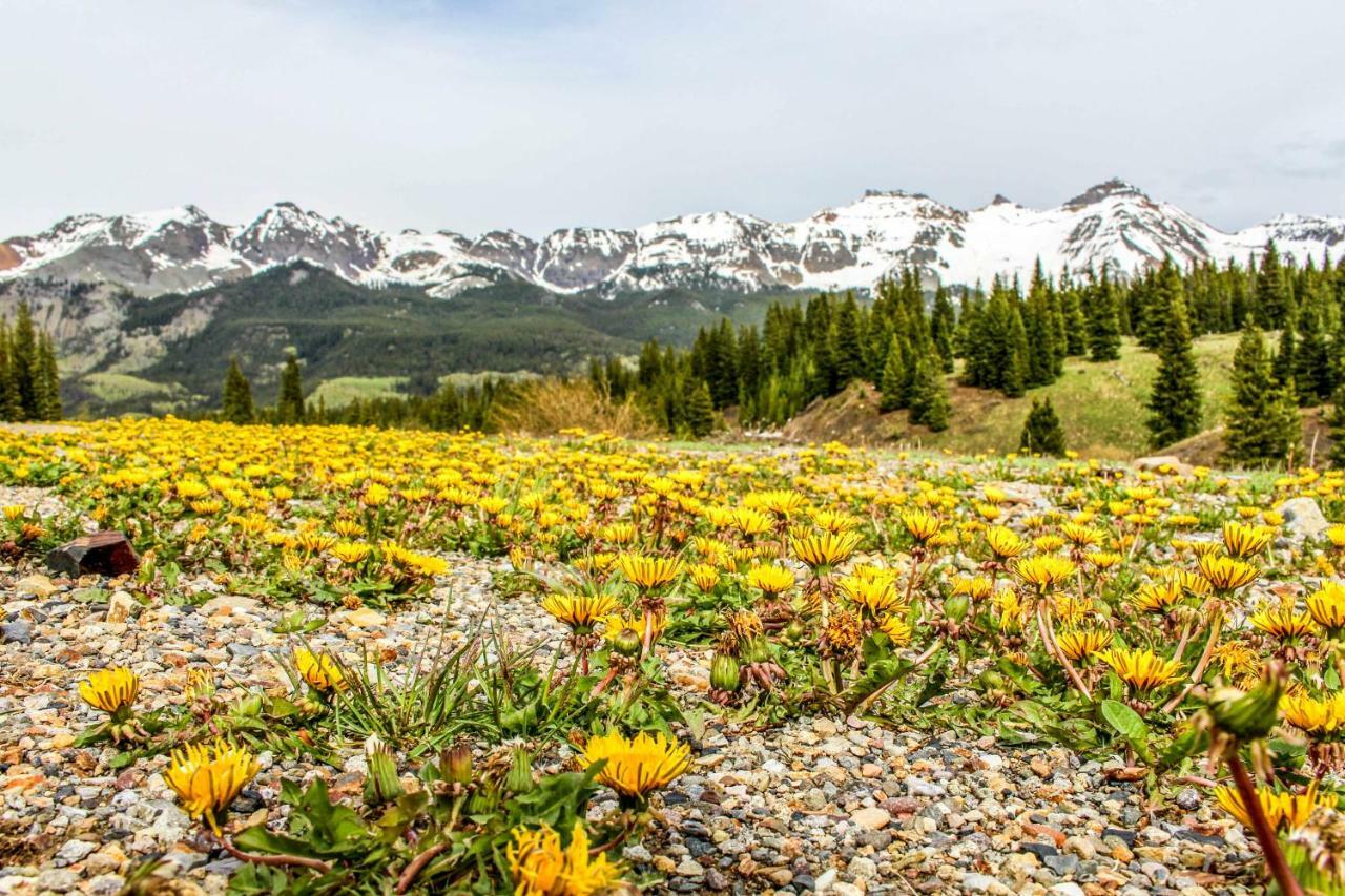 Rocky Mountain Lookout * Telluride