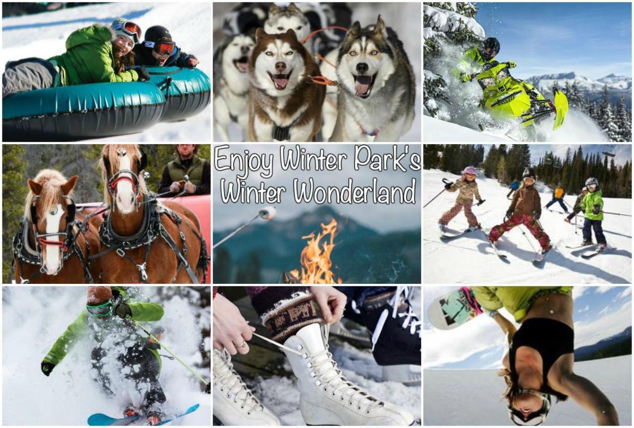 Holiday home Ski-view Luxury Condo: Hot Tub & Activity Package Winter Park