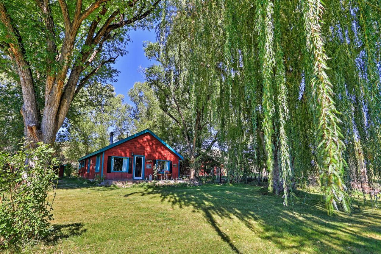 Quiet With Beautiful Yard And Gazebo Holiday home