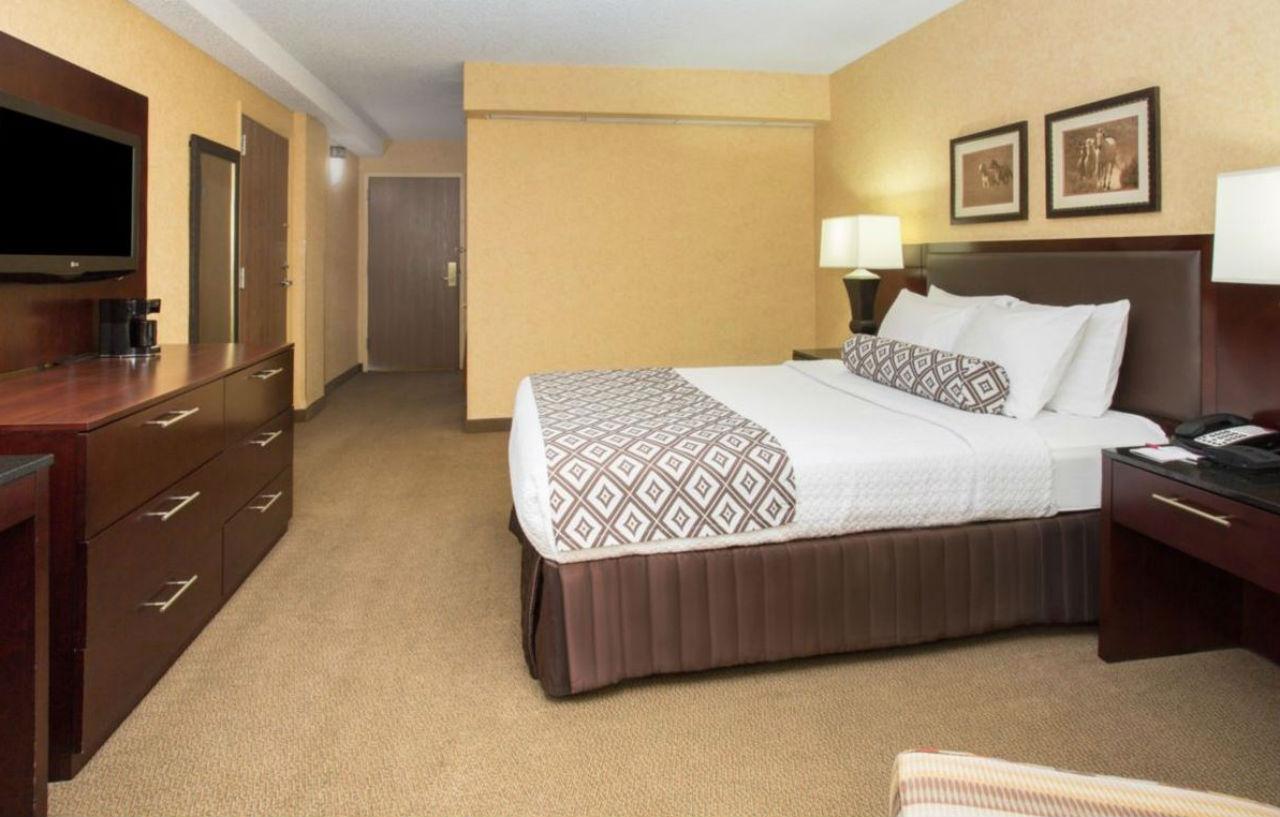Hotel Crowne Plaza International Airport, An Ihg Denver
