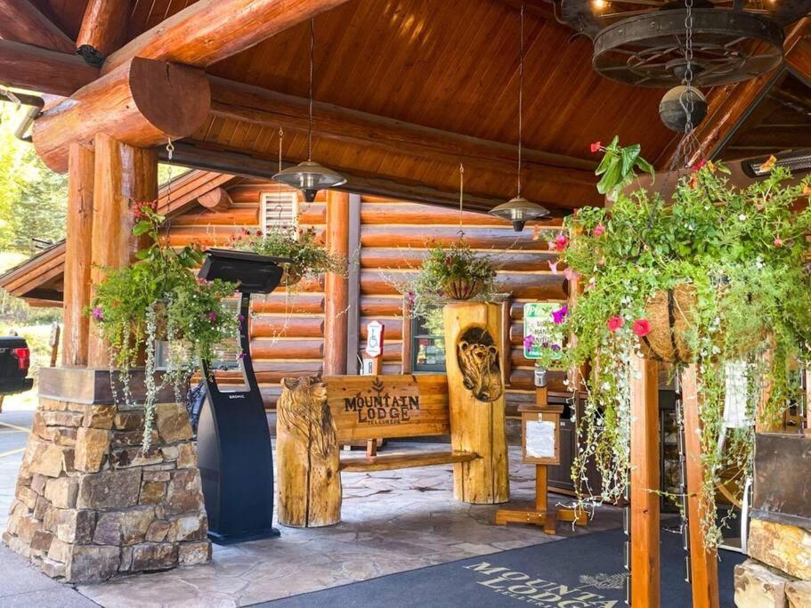Have It In Out Affordable Too * Telluride