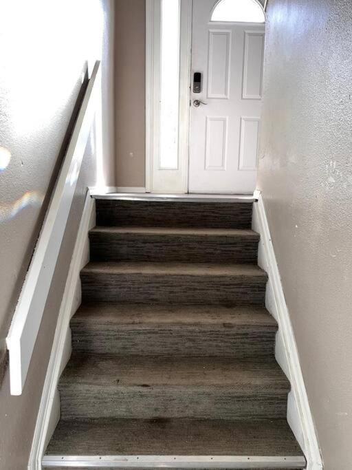 Apartment Lux Domain *