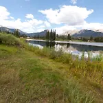 Black Bear 59