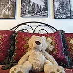 Alpen Way Chalet Mountain Lodge