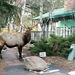 Sunnyside Knoll Resort