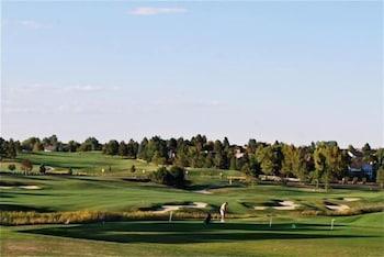Golf Club And Resort Lone Tree