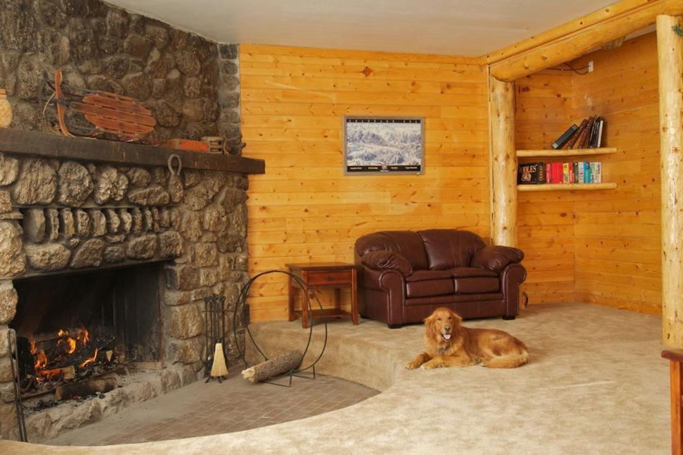 Loge
