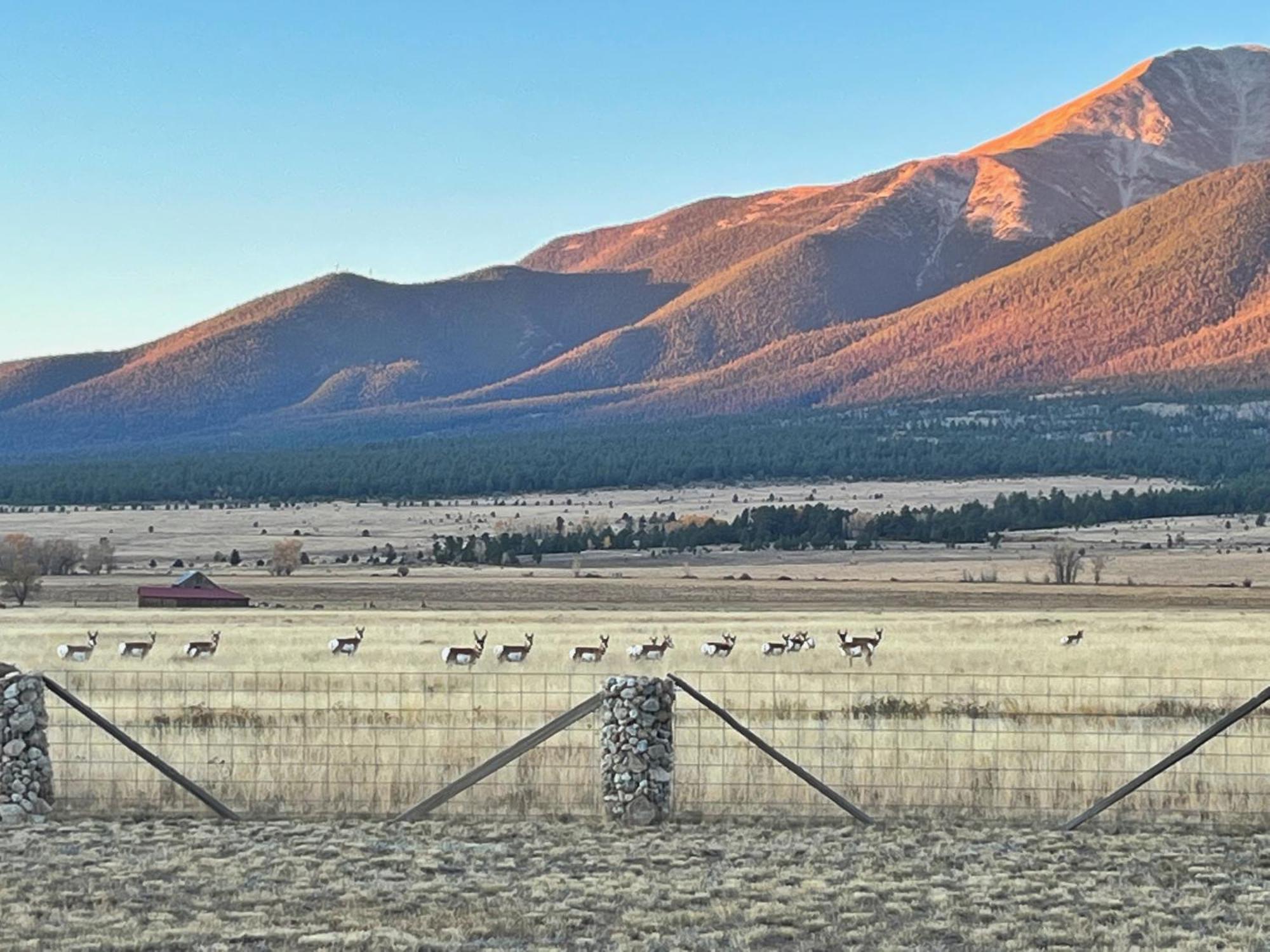 Holiday home Mountain Retreat - Ultimate Privacy With & Unbeatable Views