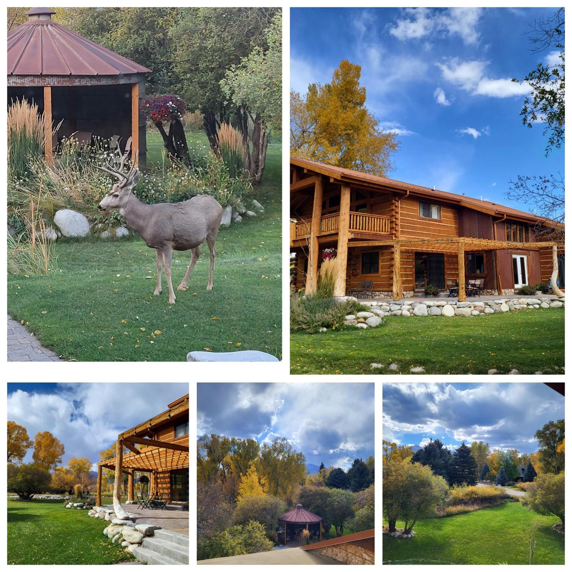 Bed & Breakfast Buffalopeaks