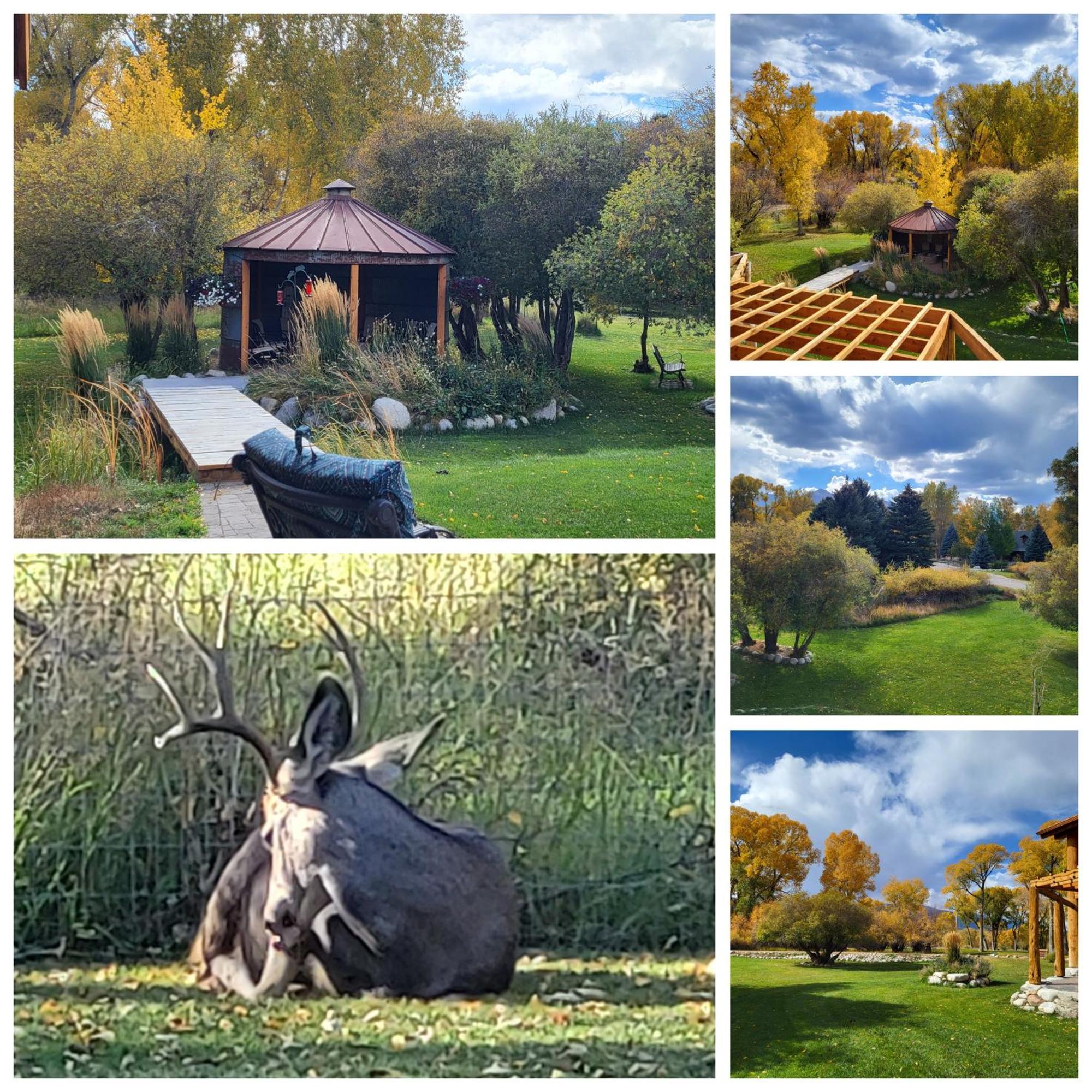 Buffalopeaks Bed & Breakfast 3*