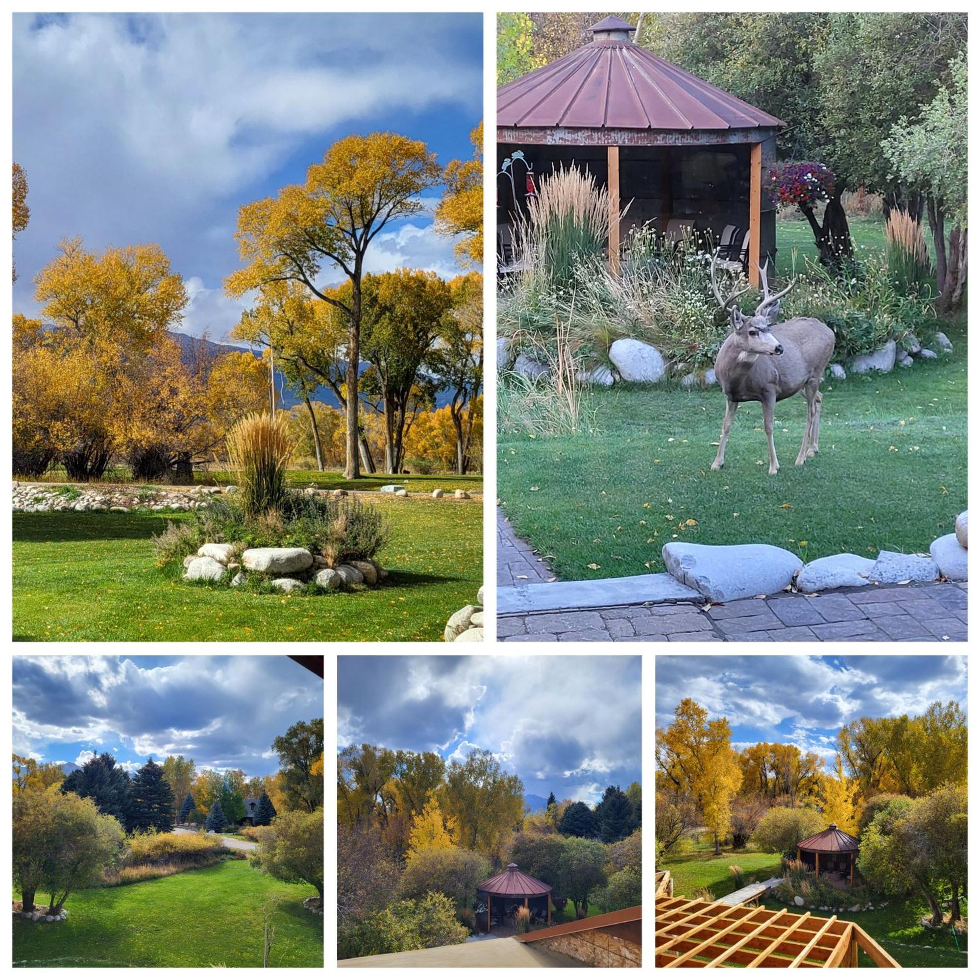 Bed & Breakfast Buffalopeaks 3*