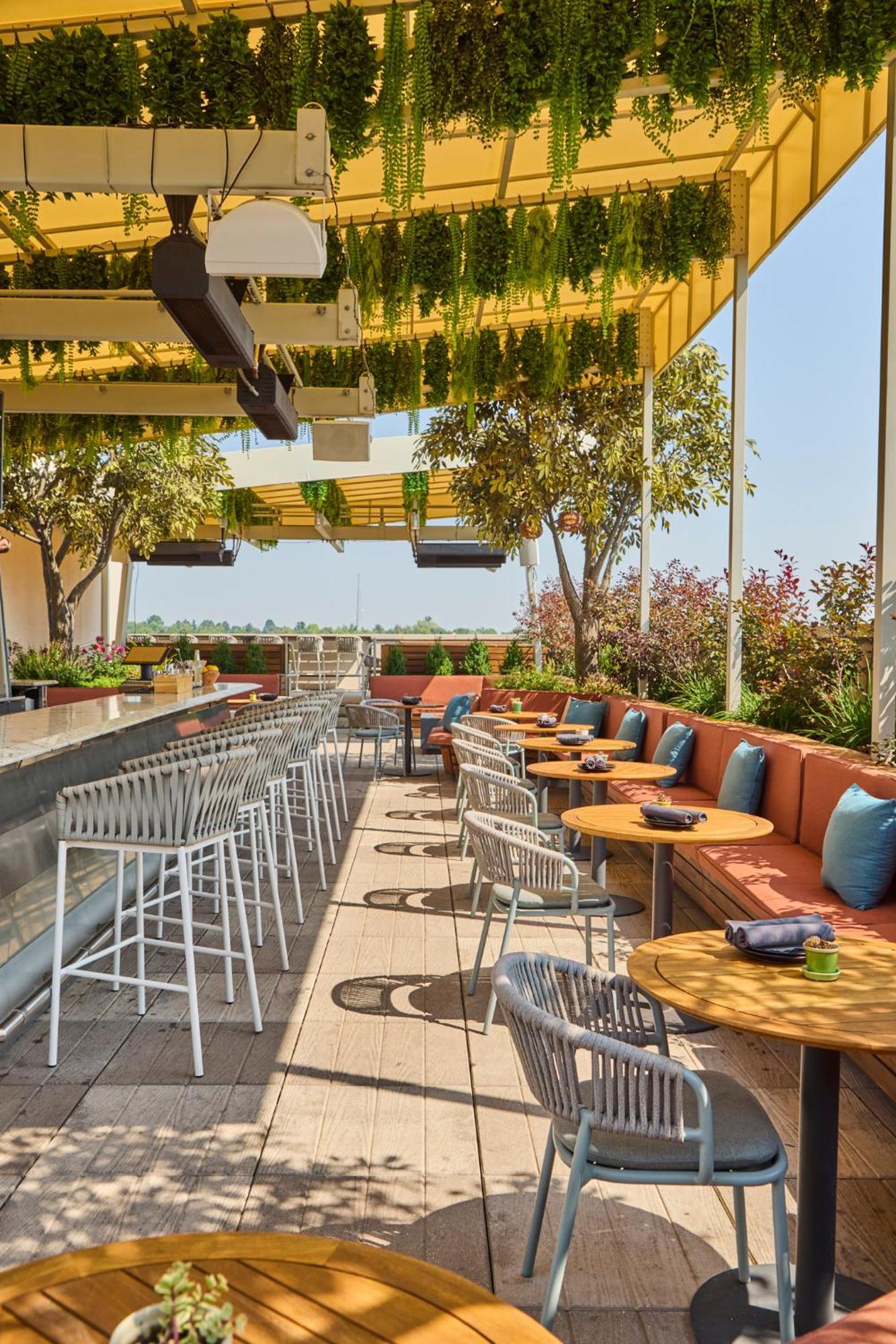 Halcyon - A In Cherry Creek