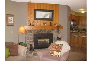 Woods Manor #302-a - Close To Main Street - Access To Indoor Hot Tub And Shuttle Holiday home Breckenridge