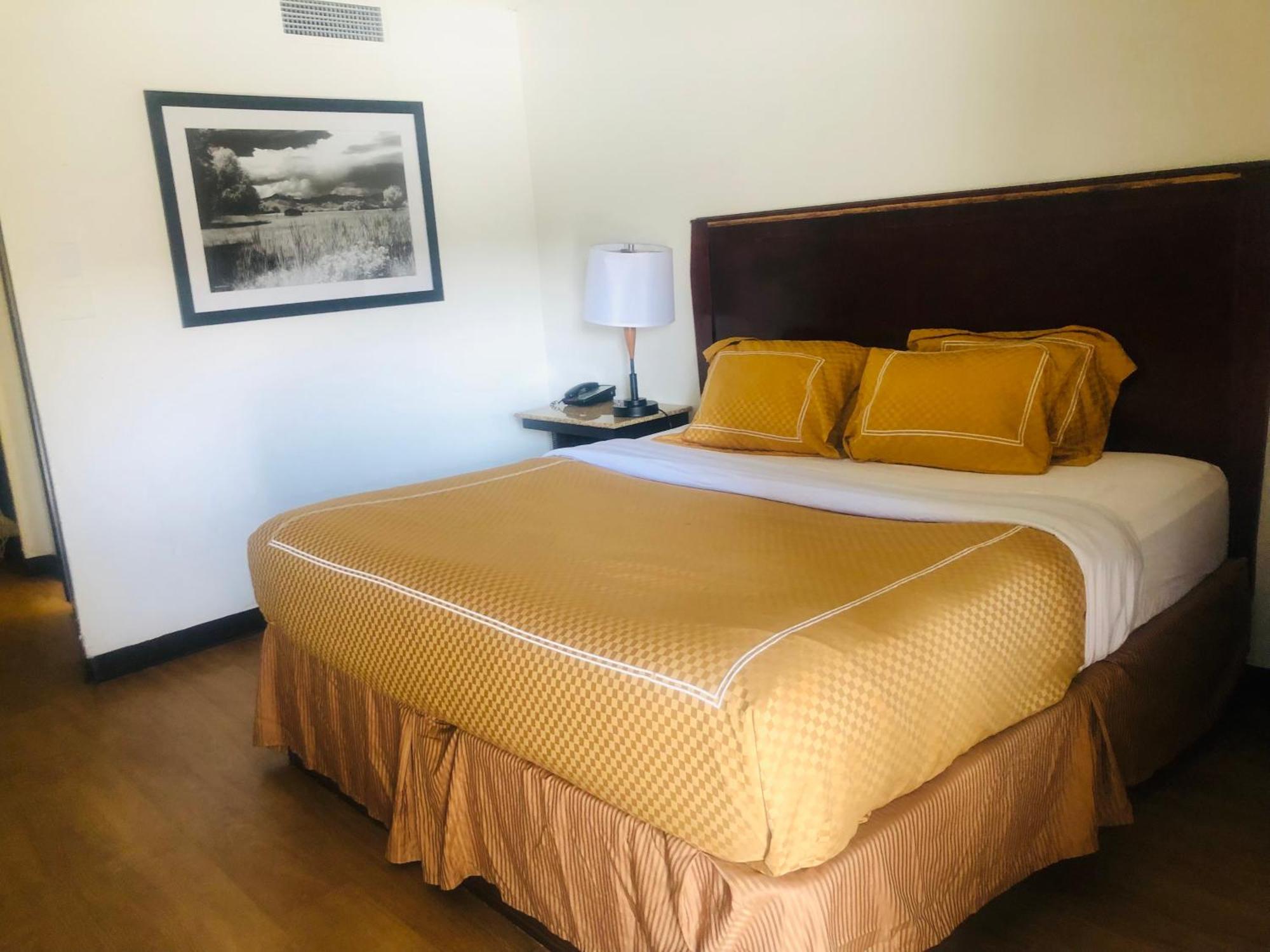 Hotel Budget Downtown