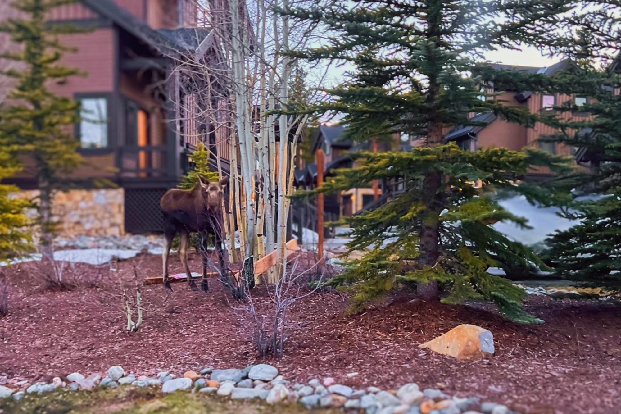 Holiday home Saddlewood Breckenridge