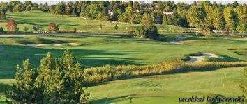Golf Club And 3*