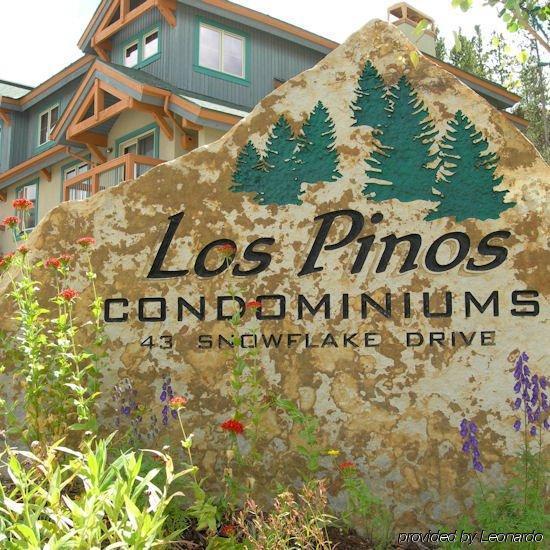 Pinos