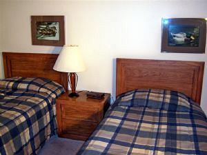 Collection By Bighorn 3*