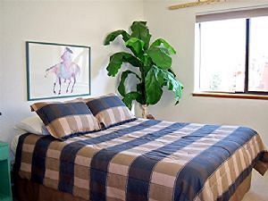 Collection By Bighorn Hotel