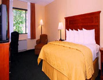 Inn Comfort Near Vail Beaver Creek 2*
