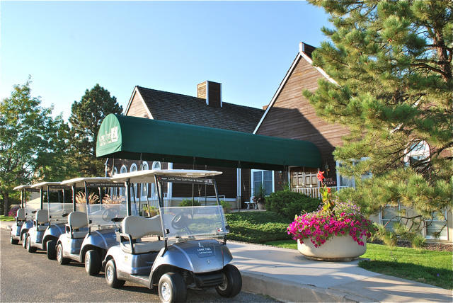 Golf Club And 3*