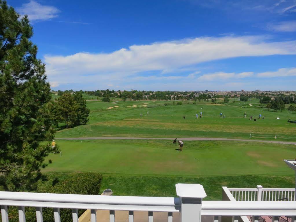 Golf Club And