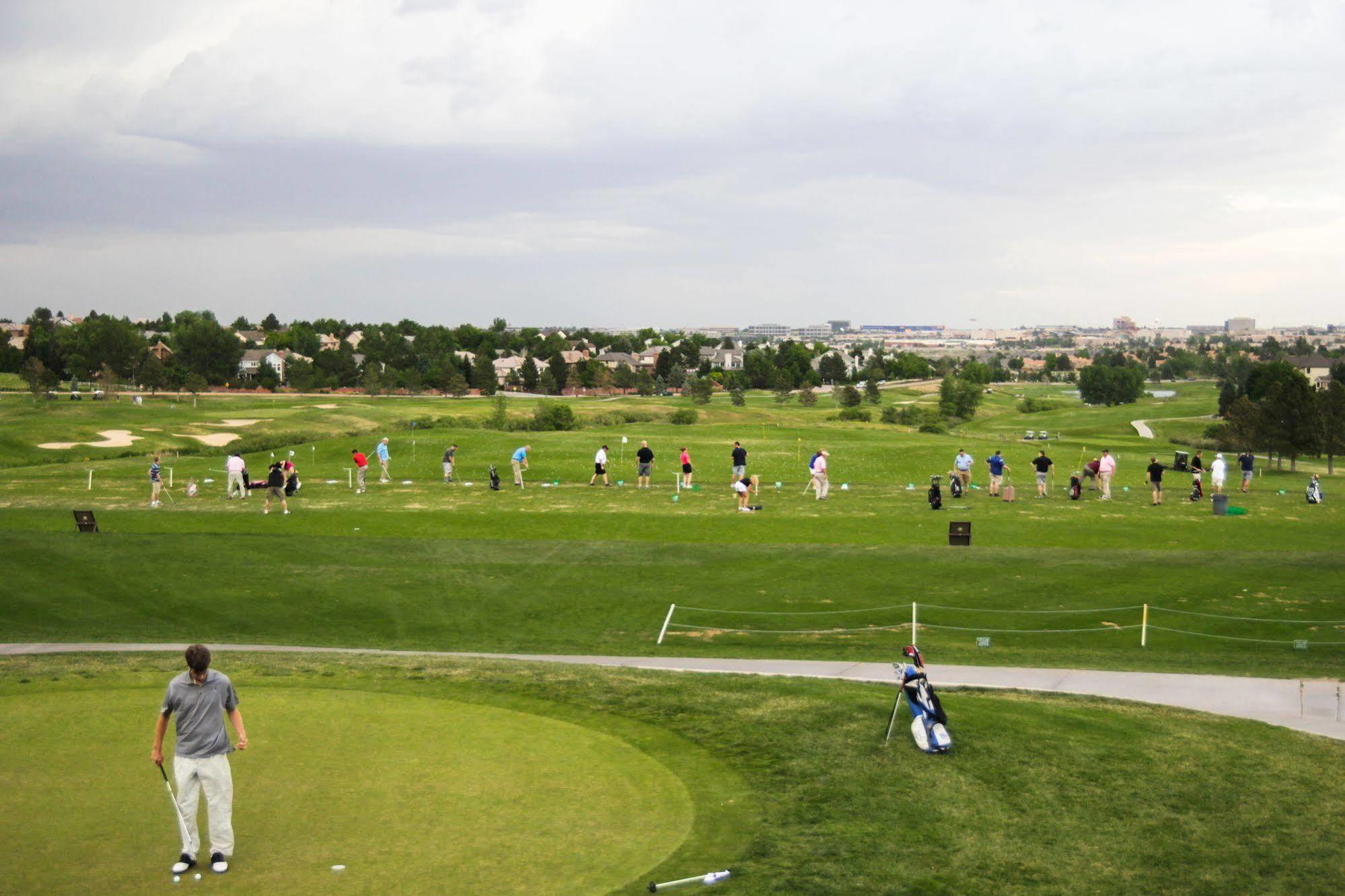 Golf Club And Lone Tree