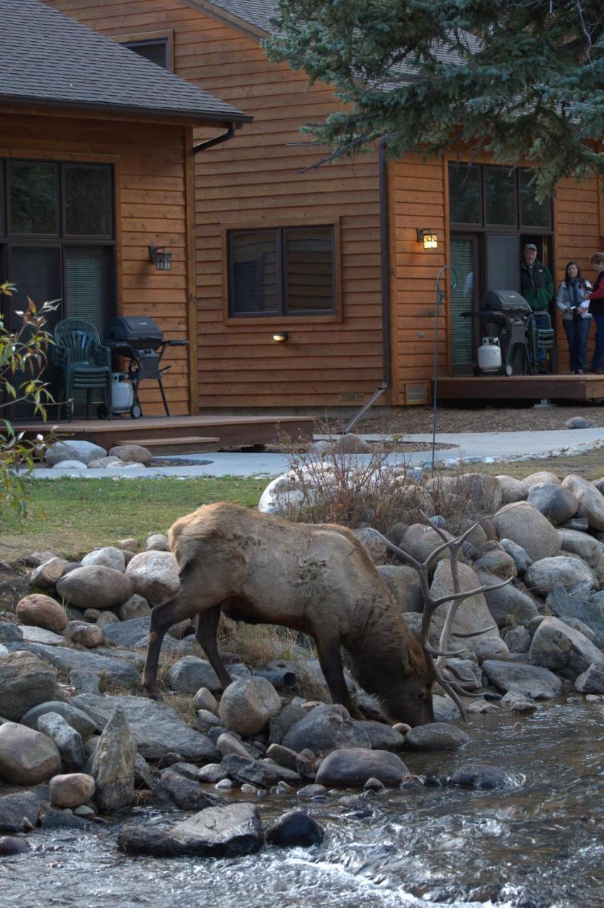River Stone Resorts 3*