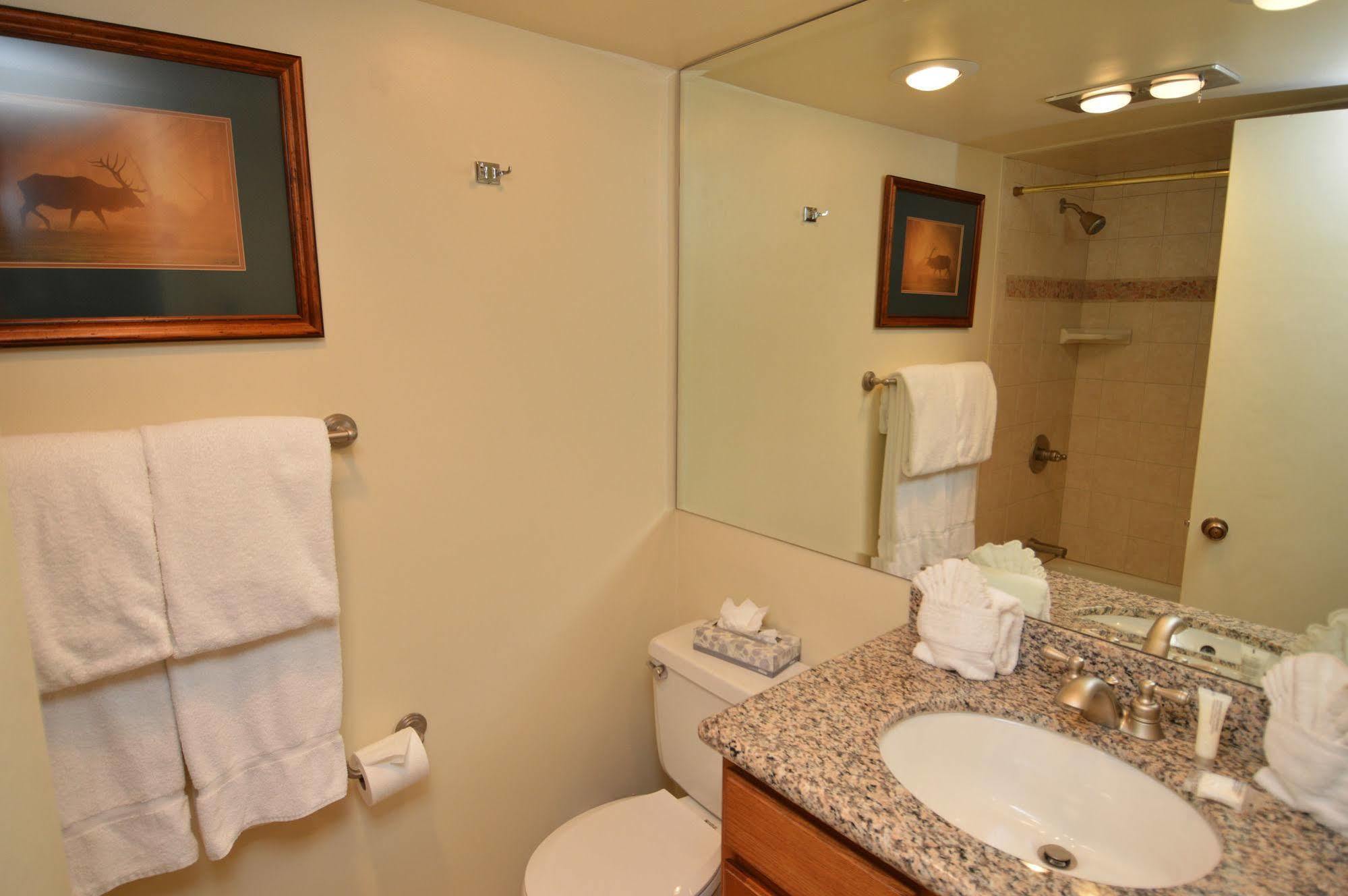Chateau Eau Claire & Roaring Fork By Frias 4* Aspen