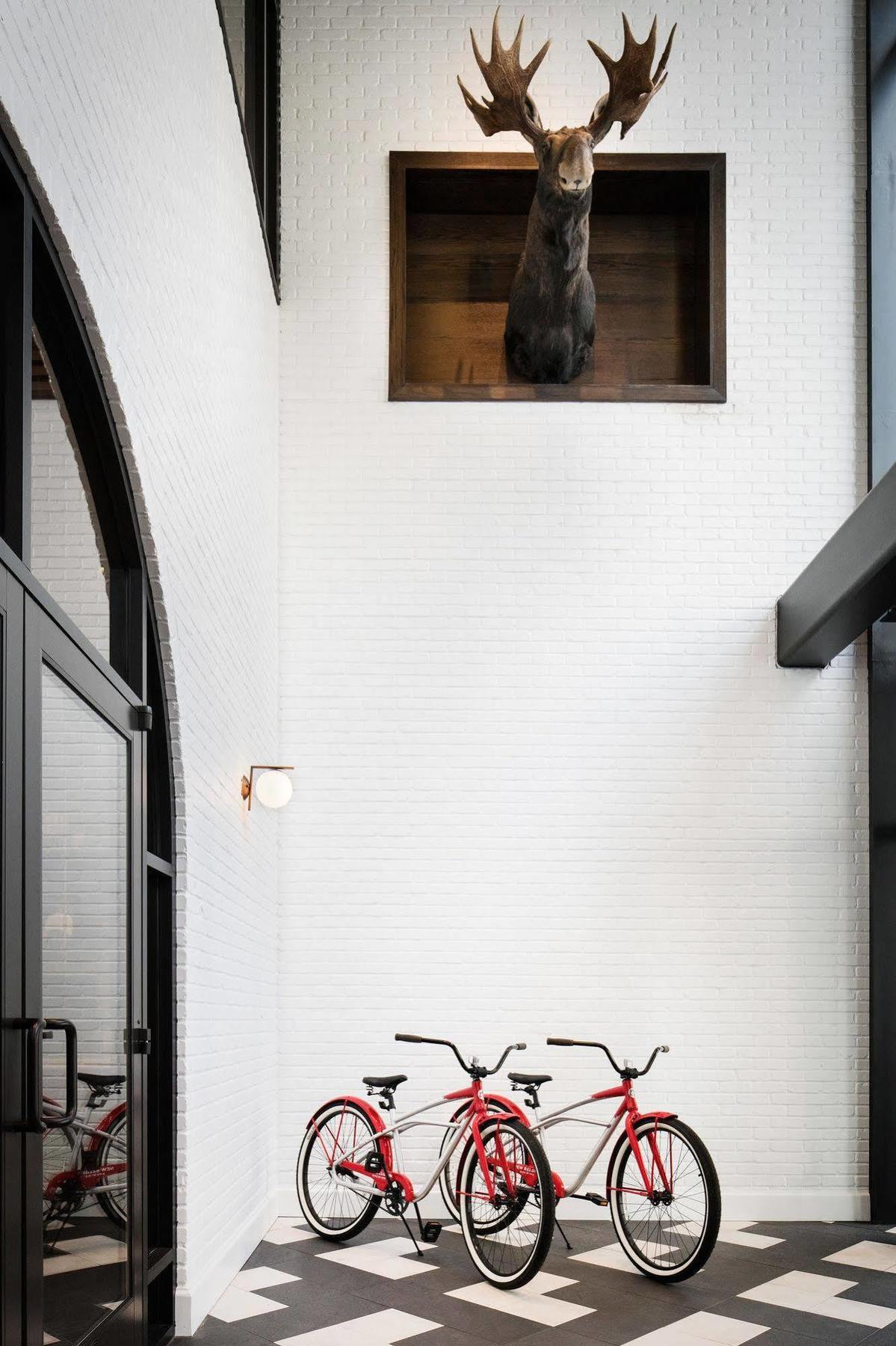 Halcyon - A In Cherry Creek
