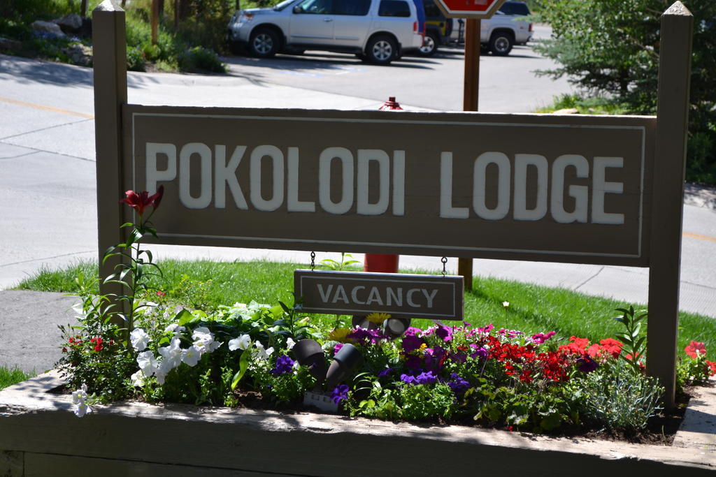Pokolodi 3*