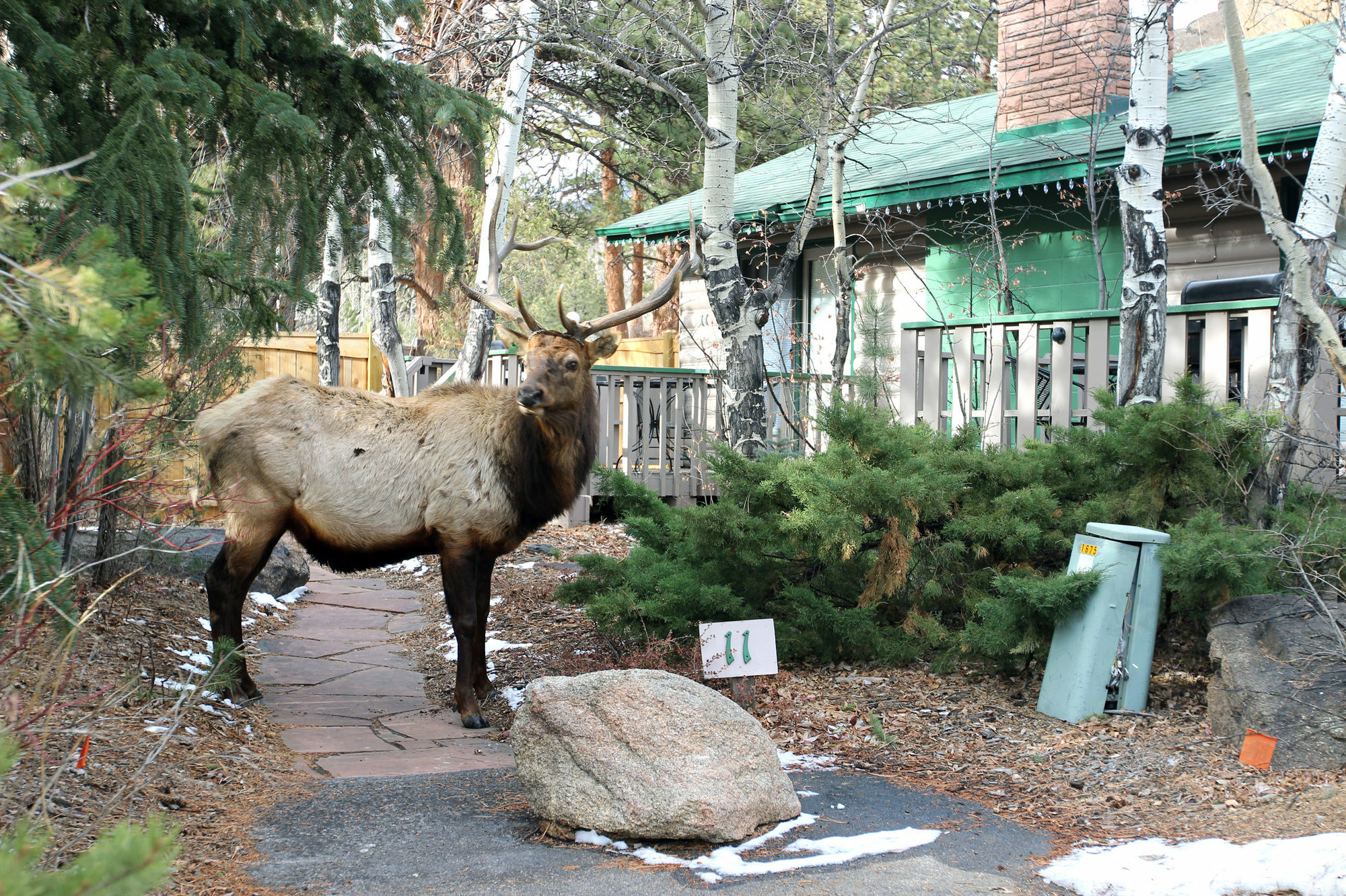 Hotel Sunnyside Knoll Estes Park