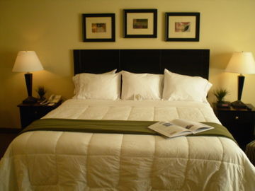 Hotel Express & Winter Park Area By Ihg 3*